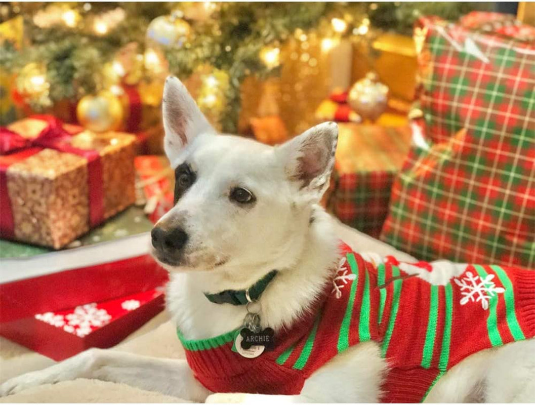 Dog Snowman Holiday Sweater for Small Dogs and Cats - Christmas and New Year Pet Apparel (XXL)