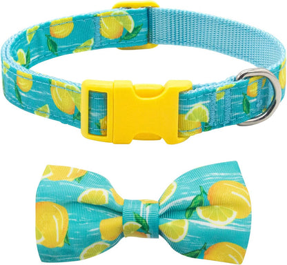 Christmas Bow Tie Dog Collar for Medium Dogs