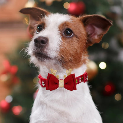 Christmas Bow Tie Dog Collar for Medium Dogs